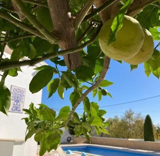 Lana - Heated Pool - Sea View - Two Independent Floors Villa