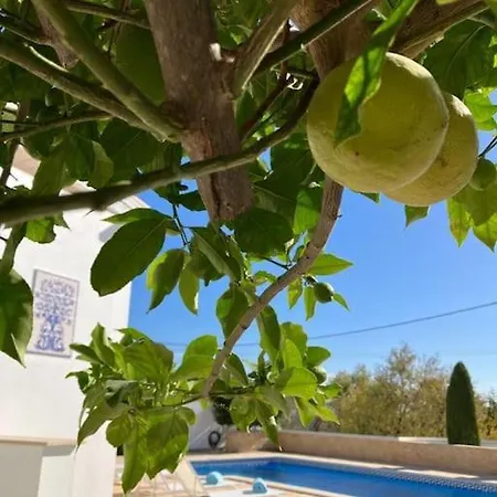 Lana - Free Pool Heating - Sea View - Two Independent Floors Villa